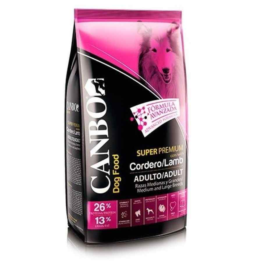 Canbo Adulto